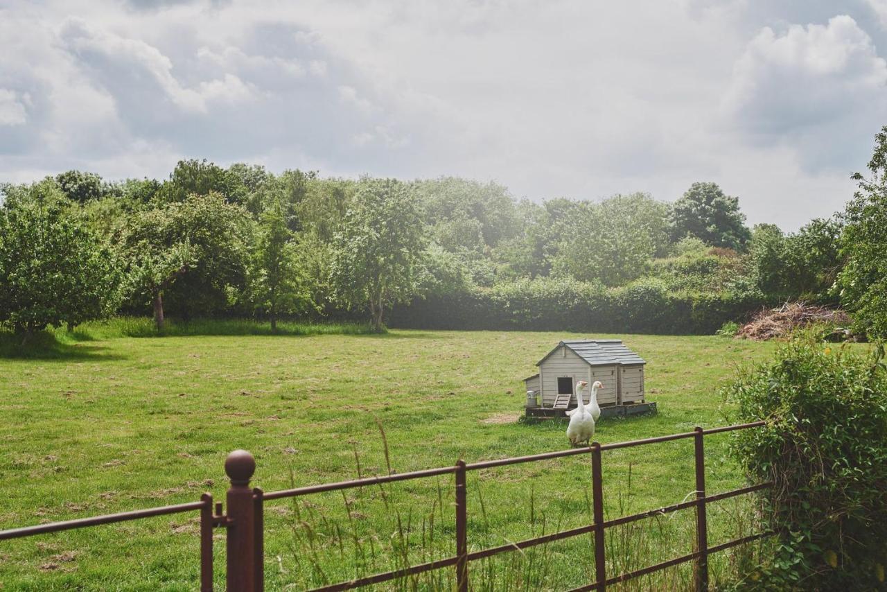Apple Tree Cottage Beckford المظهر الخارجي الصورة